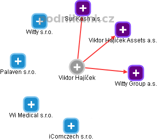 Viktor Hajíček - Vizualizace  propojení osoby a firem v obchodním rejstříku