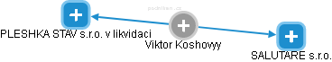 Viktor Koshovyy - Vizualizace  propojení osoby a firem v obchodním rejstříku