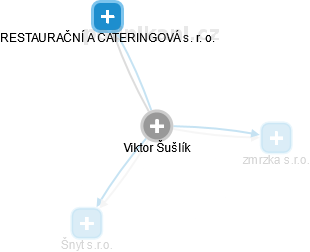  Viktor Š. - Vizualizace  propojení osoby a firem v obchodním rejstříku