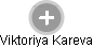 Viktoriya Kareva - Vizualizace  propojení osoby a firem v obchodním rejstříku