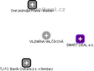  Vilemína V. - Vizualizace  propojení osoby a firem v obchodním rejstříku