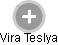 Vira Teslya - Vizualizace  propojení osoby a firem v obchodním rejstříku