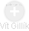 Vít Gillík - Vizualizace  propojení osoby a firem v obchodním rejstříku