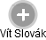 Vít Slovák - Vizualizace  propojení osoby a firem v obchodním rejstříku