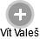 Vít Valeš - Vizualizace  propojení osoby a firem v obchodním rejstříku