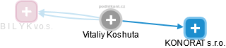Vitaliy Koshuta - Vizualizace  propojení osoby a firem v obchodním rejstříku