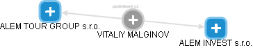 VITALIY MALGINOV - Vizualizace  propojení osoby a firem v obchodním rejstříku