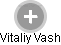 Vitaliy Vash - Vizualizace  propojení osoby a firem v obchodním rejstříku