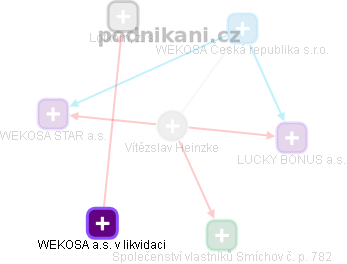 Vítězslav Heinzke - Vizualizace  propojení osoby a firem v obchodním rejstříku