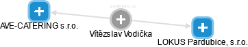 Vítězslav Vodička - Vizualizace  propojení osoby a firem v obchodním rejstříku