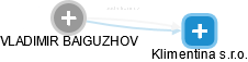 VLADIMIR BAIGUZHOV - Vizualizace  propojení osoby a firem v obchodním rejstříku