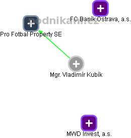 Vladimír Kubík - Vizualizace  propojení osoby a firem v obchodním rejstříku
