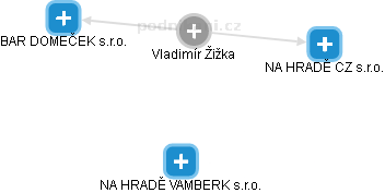  Vladimír Ž. - Vizualizace  propojení osoby a firem v obchodním rejstříku