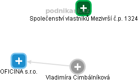  Vladimíra C. - Vizualizace  propojení osoby a firem v obchodním rejstříku