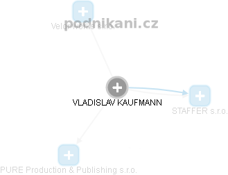 VLADISLAV KAUFMANN - Vizualizace  propojení osoby a firem v obchodním rejstříku