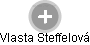Vlasta Steffelová - Vizualizace  propojení osoby a firem v obchodním rejstříku