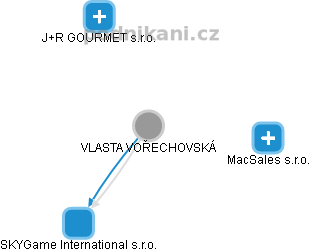 VLASTA VOŘECHOVSKÁ - Vizualizace  propojení osoby a firem v obchodním rejstříku