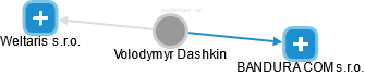 Volodymyr Dashkin - Vizualizace  propojení osoby a firem v obchodním rejstříku