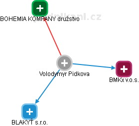 Volodymyr Pidkova - Vizualizace  propojení osoby a firem v obchodním rejstříku