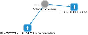 Volodymyr Yuzvak - Vizualizace  propojení osoby a firem v obchodním rejstříku