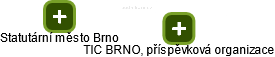 TIC BRNO, příspěvková organizace - náhled vizuálního zobrazení vztahů obchodního rejstříku