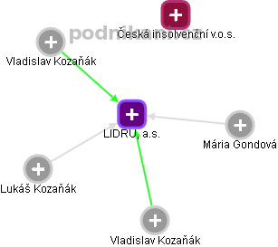 LIDRU, a.s. - náhled vizuálního zobrazení vztahů obchodního rejstříku