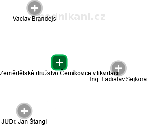 Zemědělské družstvo Černíkovice v likvidaci - náhled vizuálního zobrazení vztahů obchodního rejstříku
