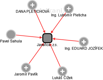Javořice, z.s. - náhled vizuálního zobrazení vztahů obchodního rejstříku