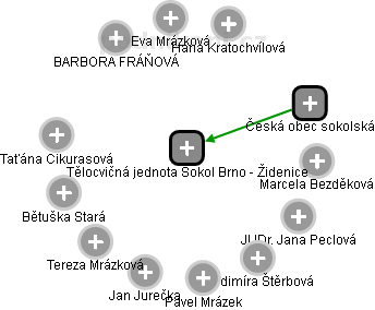 Tělocvičná jednota Sokol Brno - Židenice - náhled vizuálního zobrazení vztahů obchodního rejstříku