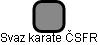 Svaz karate ČSFR - náhled vizuálního zobrazení vztahů obchodního rejstříku