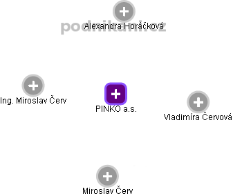 PINKO a.s. - náhled vizuálního zobrazení vztahů obchodního rejstříku