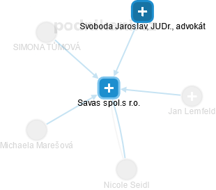 Savas spol.s r.o. - náhled vizuálního zobrazení vztahů obchodního rejstříku