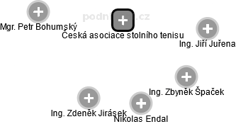 Česká asociace stolního tenisu - náhled vizuálního zobrazení vztahů obchodního rejstříku
