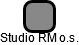 Studio RM o.s. - náhled vizuálního zobrazení vztahů obchodního rejstříku