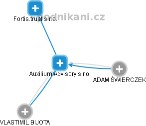 Auxilium Advisory s.r.o. - náhled vizuálního zobrazení vztahů obchodního rejstříku