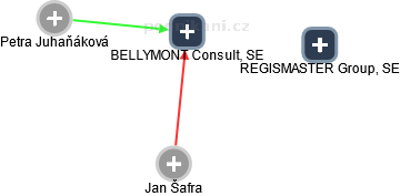 BELLYMONT Consult, SE - náhled vizuálního zobrazení vztahů obchodního rejstříku
