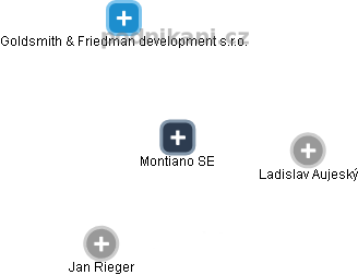 Montiano SE - náhled vizuálního zobrazení vztahů obchodního rejstříku