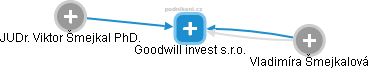 Goodwill invest s.r.o. - náhled vizuálního zobrazení vztahů obchodního rejstříku