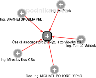 Česká asociace pro pyrolýzu a zplyňování z.s. - náhled vizuálního zobrazení vztahů obchodního rejstříku