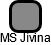 MS Jívina - náhled vizuálního zobrazení vztahů obchodního rejstříku