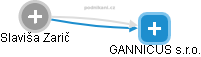 GANNICUS s.r.o. - náhled vizuálního zobrazení vztahů obchodního rejstříku