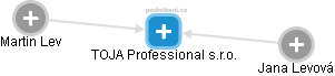 TOJA Professional s.r.o. - náhled vizuálního zobrazení vztahů obchodního rejstříku