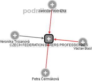 CZECH FEDERATION BOXERS PROFESSIONALS - náhled vizuálního zobrazení vztahů obchodního rejstříku
