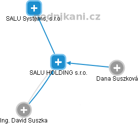 SALU HOLDING s.r.o. - náhled vizuálního zobrazení vztahů obchodního rejstříku