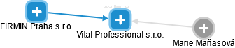 Vital Professional s.r.o. - náhled vizuálního zobrazení vztahů obchodního rejstříku