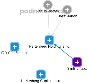 Hartenberg Holding, s.r.o. - náhled vizuálního zobrazení vztahů obchodního rejstříku
