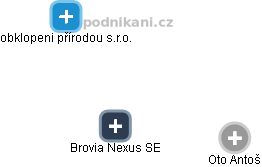 Brovia Nexus SE - náhled vizuálního zobrazení vztahů obchodního rejstříku