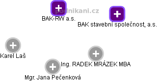 BAK-RW a.s. - náhled vizuálního zobrazení vztahů obchodního rejstříku