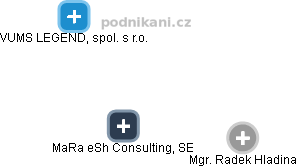 MaRa eSh Consulting, SE - náhled vizuálního zobrazení vztahů obchodního rejstříku