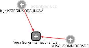 Yoga Surya International, z.s. - náhled vizuálního zobrazení vztahů obchodního rejstříku